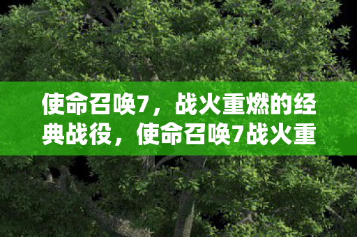 使命召唤7,战火重燃的经典战役,使命召唤7战火重燃,经典战役再现 使命召唤7,战火重燃的经典战役,使命召唤7战火重燃,经典战役再现