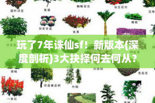 玩了7年诛仙sf图片