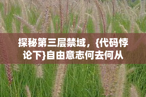 探秘第三层禁域,{代码悖论下}自由意志何去何从 探秘第三层禁域,{代码悖论下}自由意志何去何从