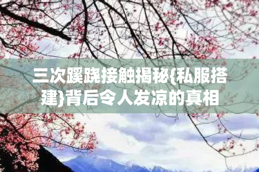 三次蹊跷接触揭秘{私服搭建}背后令人发凉的真相 三次蹊跷接触揭秘{私服搭建}背后令人发凉的真相