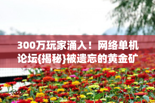 300万玩家涌入！网络单机论坛{揭秘}被遗忘的黄金矿脉