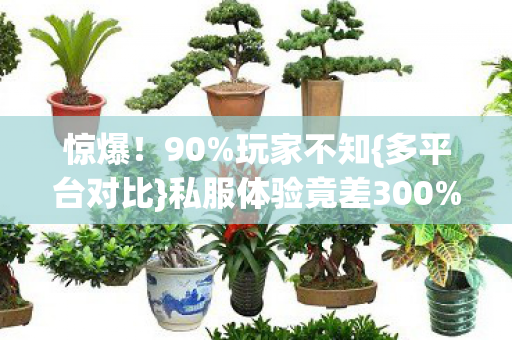 惊爆!90%玩家不知{多平台对比}私服体验竟差300%! 惊爆!90%玩家不知{多平台对比}私服体验竟差300%!