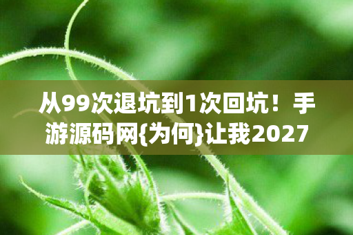 从99次退坑到1次回坑！手游源码网{为何}让我2027年破防？