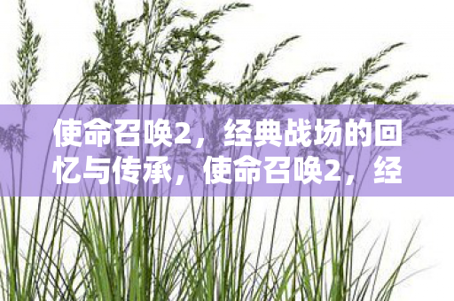使命召唤2，经典战场的回忆与传承，使命召唤2，经典战场回忆与传承