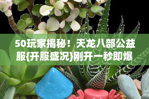 天龙八部公益服图片