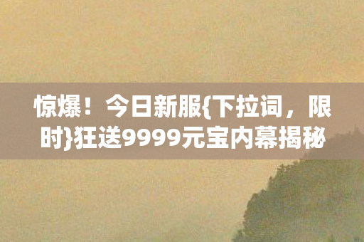狂送9999元宝内幕揭秘图片