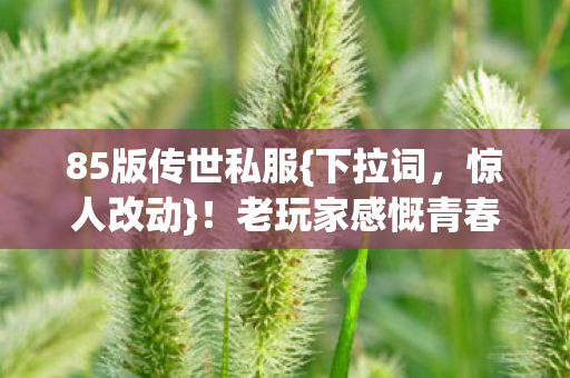 老玩家感慨青春不再图片