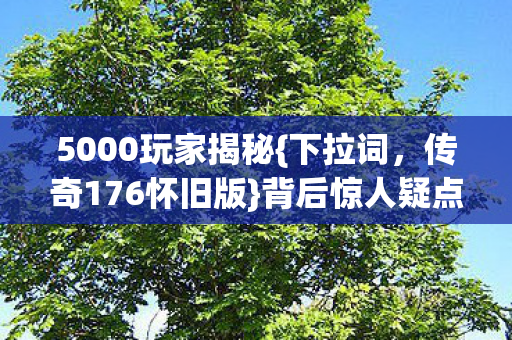 5000玩家揭秘图片