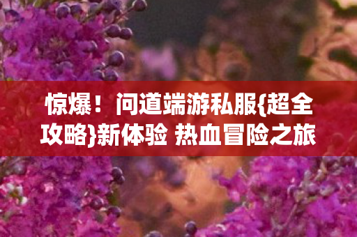 惊爆！问道端游私服{超全攻略}新体验 热血冒险之旅