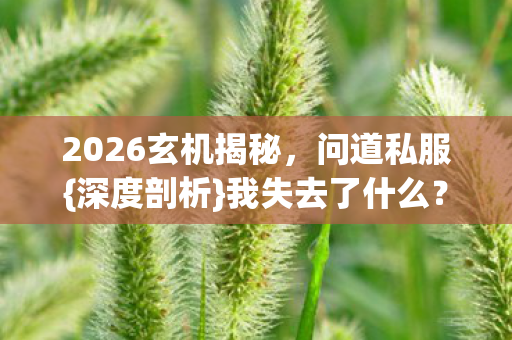 2026玄机揭秘,问道私服{深度剖析}我失去了什么? 2026玄机揭秘,问道私服{深度剖析}我失去了什么?