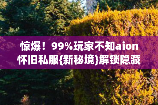 玩家不知aion怀旧私服图片