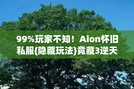 Aion怀旧私服图片