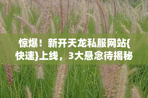 新开天龙私服网站图片