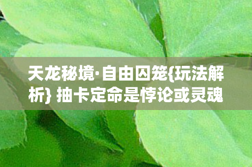 抽卡定命是悖论或灵魂震颤图片