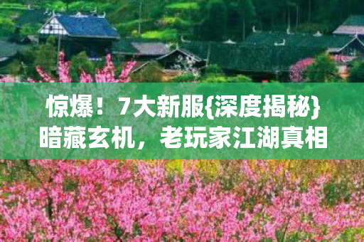 老玩家江湖真相图片