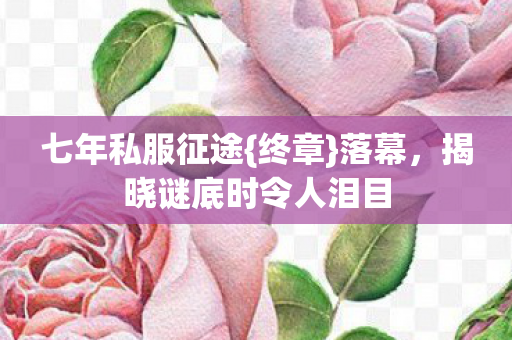 揭晓谜底时令人泪目图片