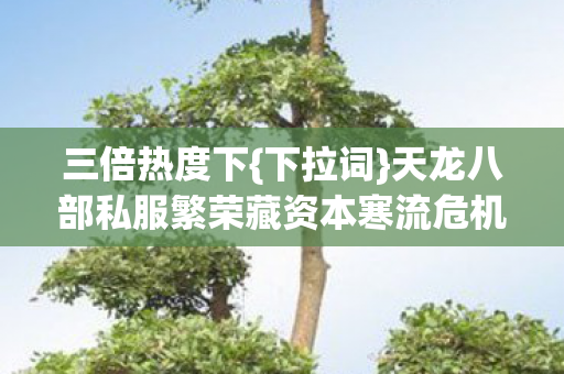 天龙八部私服繁荣藏资本寒流危机图片