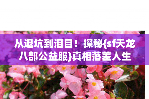 sf天龙八部公益服图片