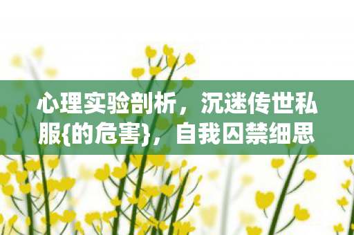 自我囚禁细思极恐图片