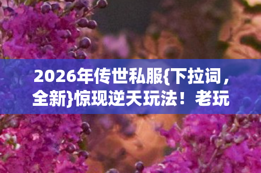 2026年传世私服图片