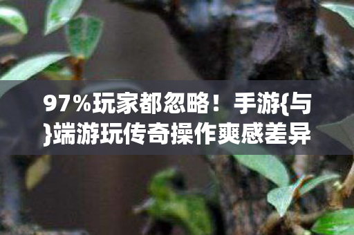 端游玩传奇操作爽感差异大图片