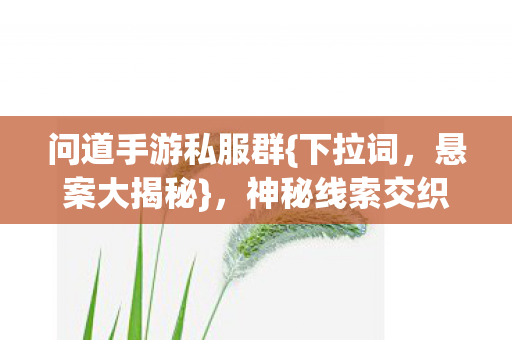 问道手游私服群{下拉词,悬案大揭秘},神秘线索交织真相令人毛骨悚然 问道手游私服群{下拉词,悬案大揭秘},神秘线索交织真相令人毛骨悚然