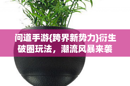 衍生破圈玩法图片