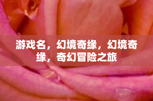 游戏名,幻境奇缘,幻境奇缘,奇幻冒险之旅 游戏名,幻境奇缘,幻境奇缘,奇幻冒险之旅