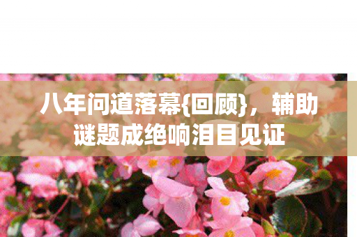 辅助谜题成绝响泪目见证图片
