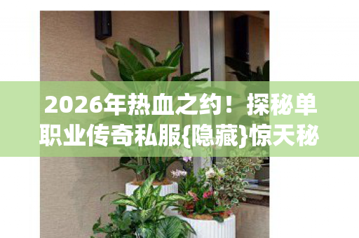 2026年热血之约图片