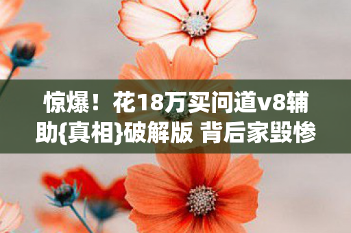 花18万买问道v8辅助图片