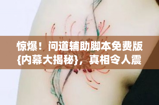 问道辅助脚本免费版图片