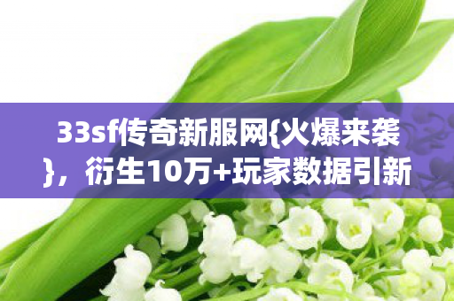 33sf传奇新服网图片