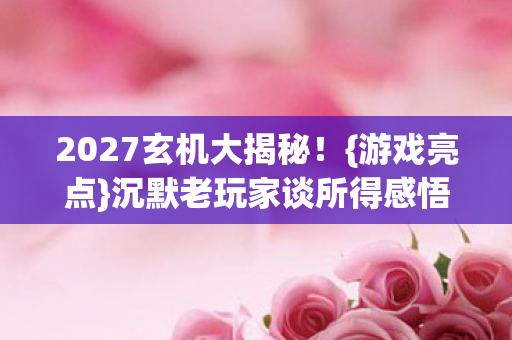 2027玄机大揭秘！{游戏亮点}沉默老玩家谈所得感悟