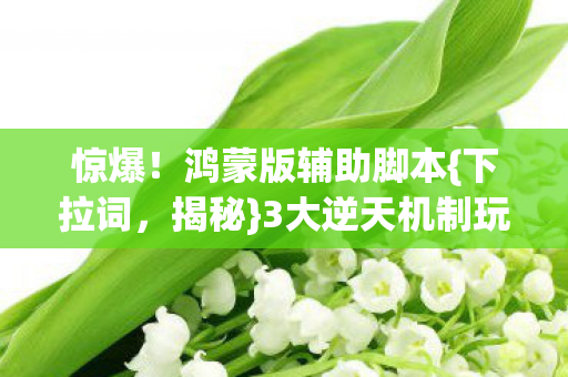 惊爆!鸿蒙版辅助脚本{下拉词,揭秘}3大逆天机制玩家不知 惊爆!鸿蒙版辅助脚本{下拉词,揭秘}3大逆天机制玩家不知