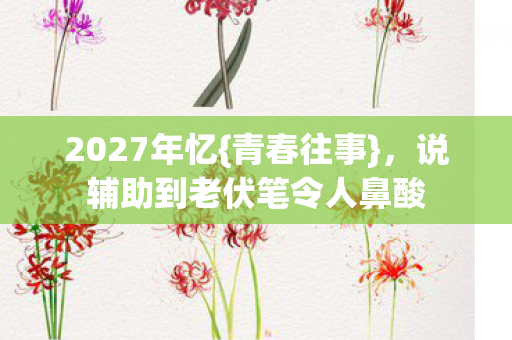 2027年忆{青春往事},说辅助到老伏笔令人鼻酸 2027年忆{青春往事},说辅助到老伏笔令人鼻酸