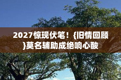 2027惊现伏笔！{旧情回顾}莫名辅助成绝响心酸