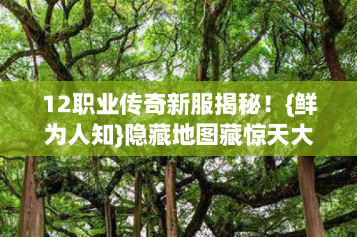 12职业传奇新服揭秘图片