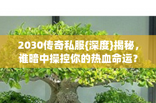 谁暗中操控你的热血命运图片