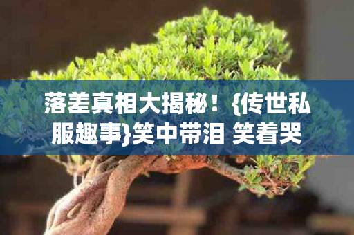 笑中带泪 笑着哭图片