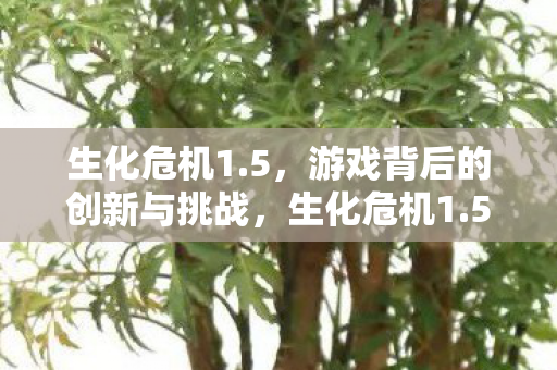 生化危机1.5,游戏背后的创新与挑战,生化危机1.5,游戏背后的创新与挑战 生化危机1.5,游戏背后的创新与挑战,生化危机1.5,游戏背后的创新与挑战