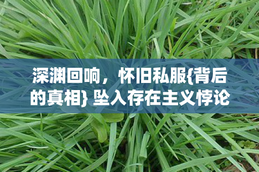 深渊回响，怀旧私服{背后的真相} 坠入存在主义悖论