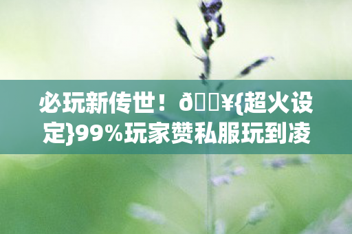 玩家赞私服玩到凌晨图片