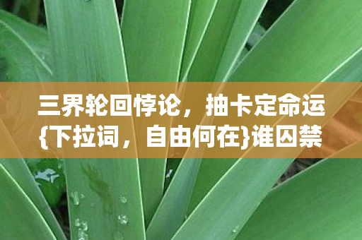 谁囚禁自由意志图片
