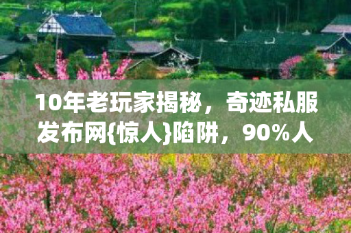 10年老玩家揭秘图片