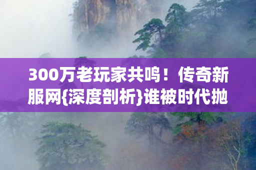 300万老玩家共鸣图片