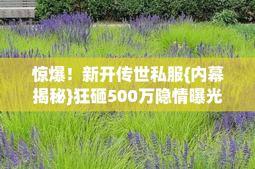 狂砸500万隐情曝光图片