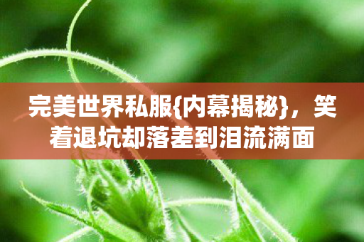 笑着退坑却落差到泪流满面图片