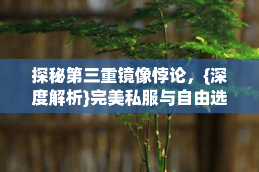 完美私服与自由选择之困图片