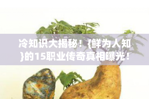的15职业传奇真相曝光图片